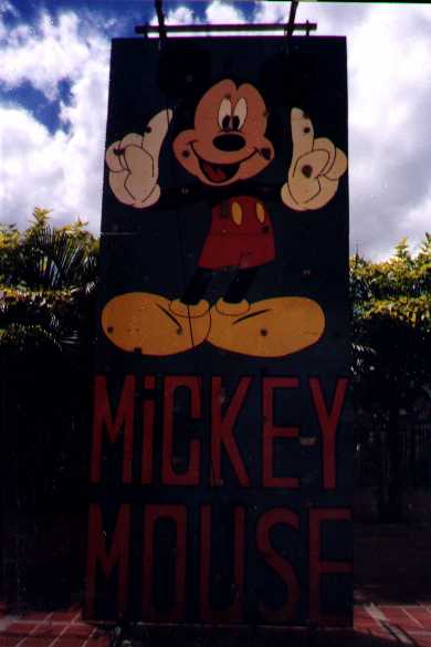 pared mickey.jpg (19569 bytes)